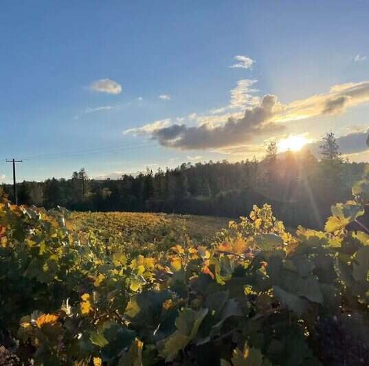 What is the Estate component?